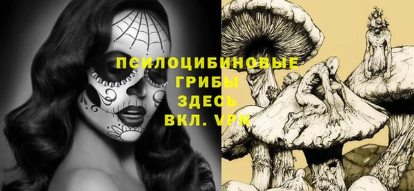таблы Алексин