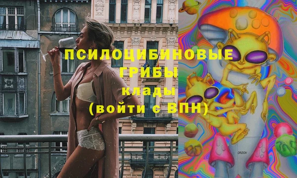 твердый Алексеевка