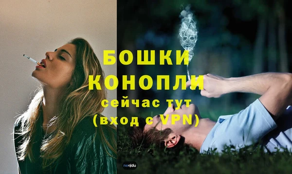 PSILOCYBIN Вязники